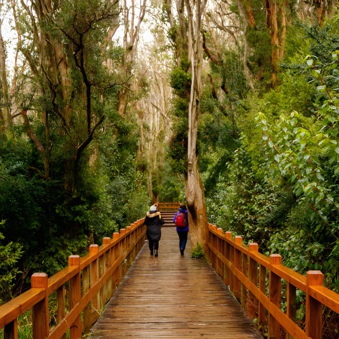 Discover Bariloche: 4 Days of Mountains and Lakes 7