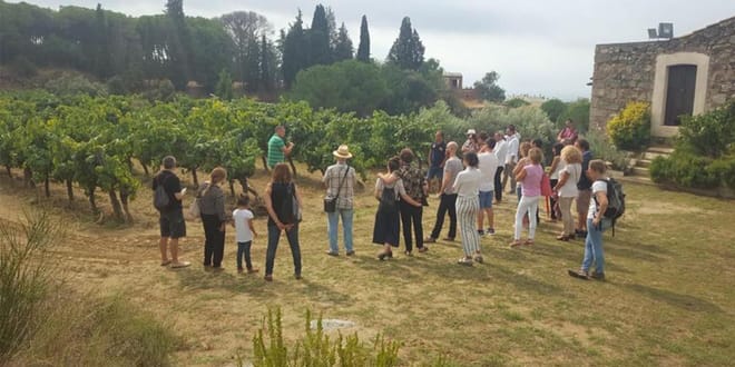 Apperitif Winery Experience - Wine Tasting Tour photo 5
