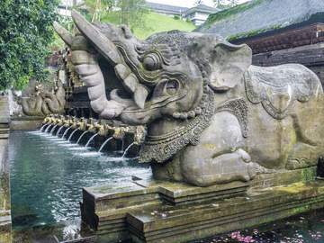 Wellness and Cultural Tour in Ubud, Bali