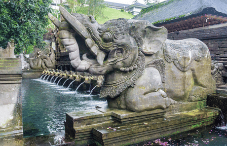Wellness and Cultural Tour in Ubud, Bali