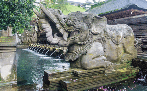 Wellness and Cultural Tour in Ubud, Bali