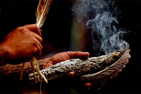 Cus-27 : Ayahuasca Retreat 5 Days - A Spiritual Revelation