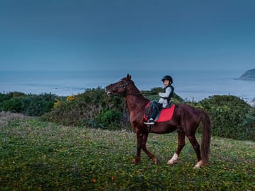 Horseback Riding – Tangier (Mountain & Sea)