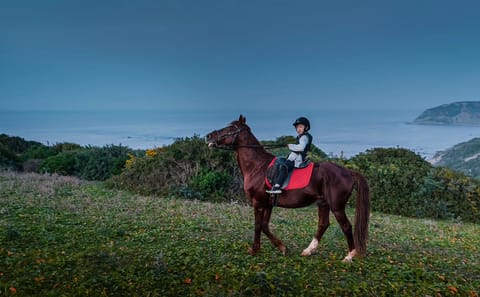 Horseback Riding – Tangier (Mountain & Sea)