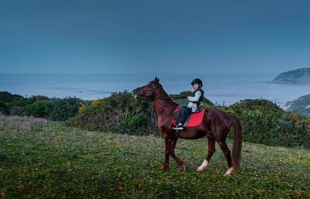 Horseback Riding – Tangier (Mountain & Sea)