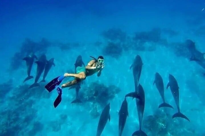 Swim with Dolphins – VIP Snorkeling & Water Sports – Hurghada