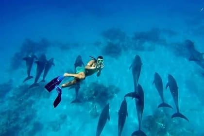 Swim with Dolphins – VIP Snorkeling & Water Sports – Hurghada
