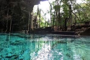 Five Cenotes Jungle Tour