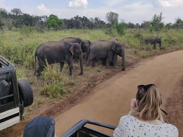 Hurulu Eco Park Private Safari