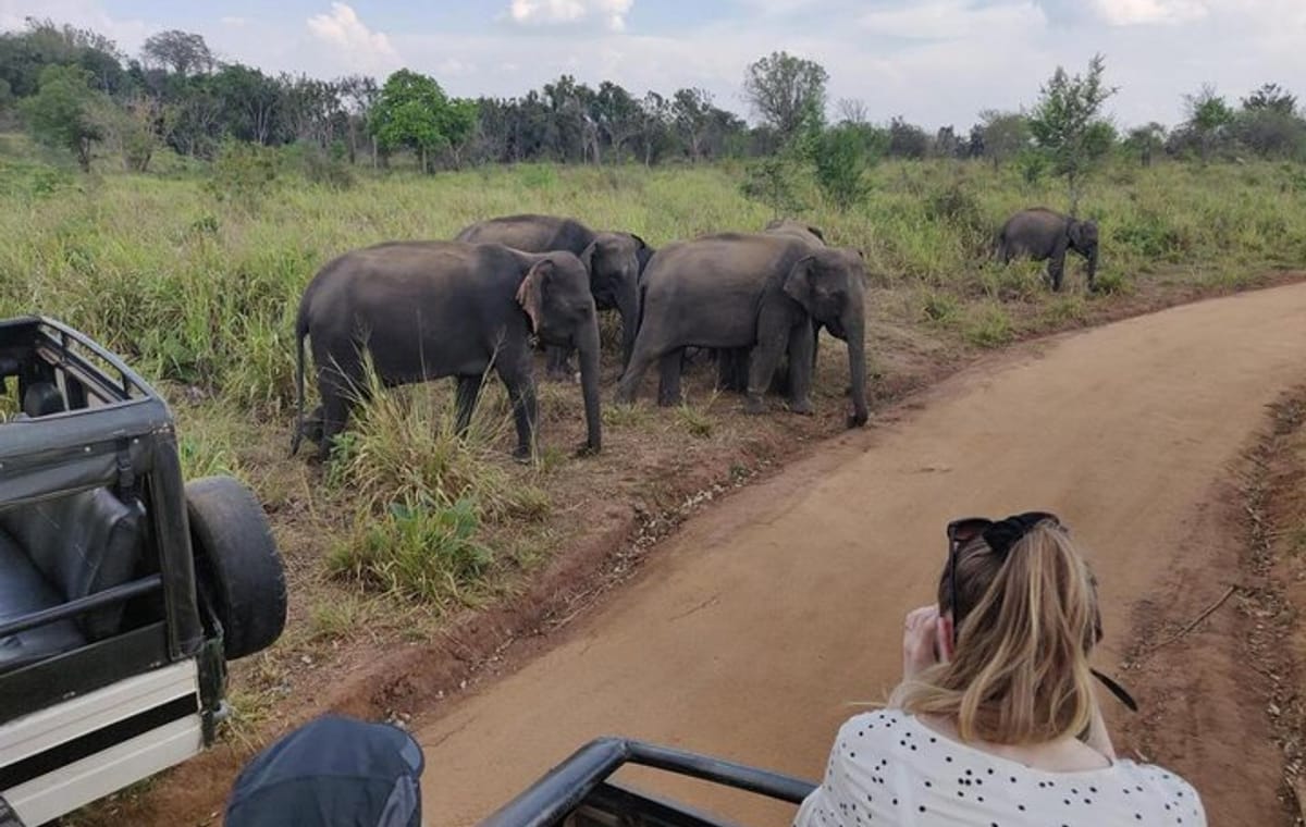 Hurulu Eco Park Private Safari