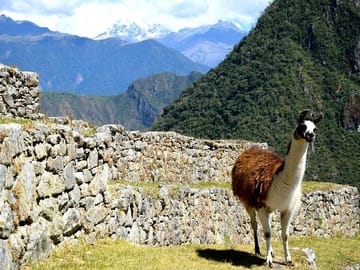 Machu Picchu by Train 3D/2N (Sleep in Cuzco Day 1, Aguas Calientes Day 2)
