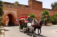 marrakech horse carriage