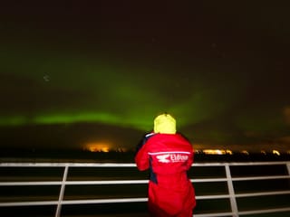 Reykjavík Whales & Northern Lights, photo 14