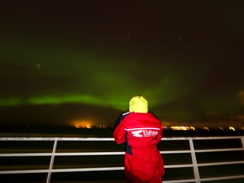 Reykjavík Whales & Northern Lights, photo 14
