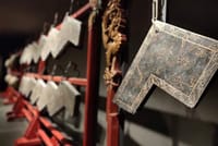 Changsha Private Highlight Day Tour 3