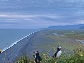 South Coast, photo 18