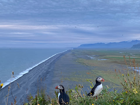 South Coast, photo 48