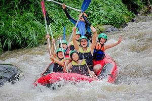 Private White Water Rafting Ubud with Bali Swing Including Hotel pick up
