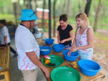 From Phuket to Ethical Khaolak Elephant Sanctuary Tour, Walk, and Lunch