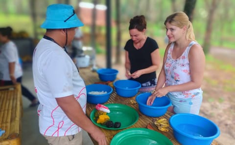 From Phuket to Ethical Khaolak Elephant Sanctuary Tour, Walk, and Lunch