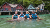 Shark Encounter in Dolphin Cove Ocho Rios  2