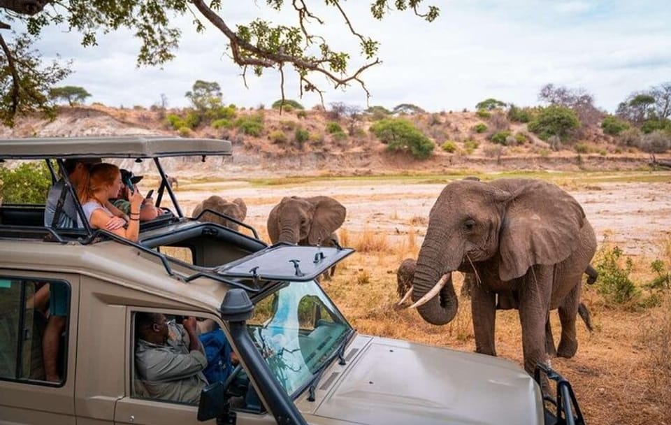 8 Days Tsavo East West Amboseli Lake Nakuru and Masai Mara Safari