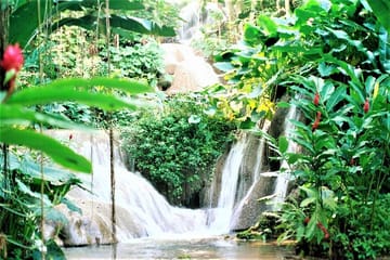 Dunn's River Falls and Ocho Rios Shopping Tour from Lucea