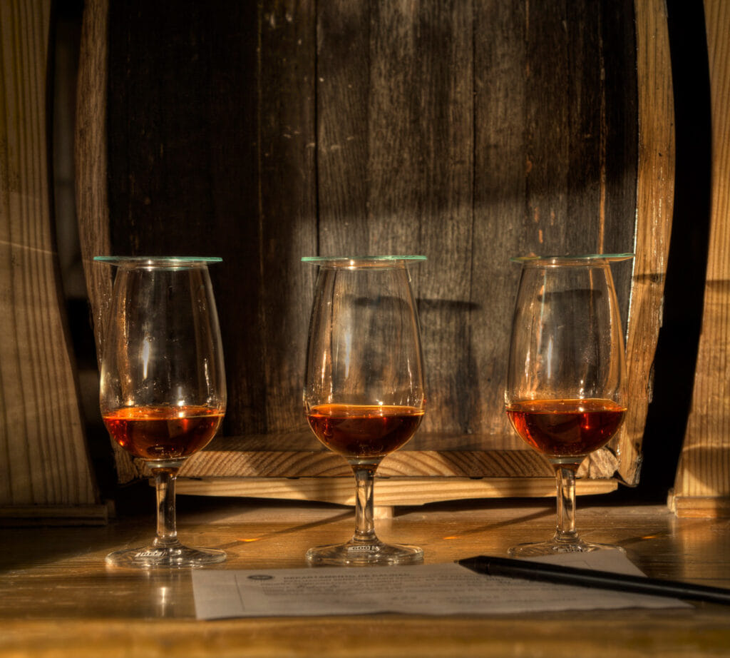 FROM PUNTACANA: Ron Barcelo Rum Factory Tour+Bayahibe beach