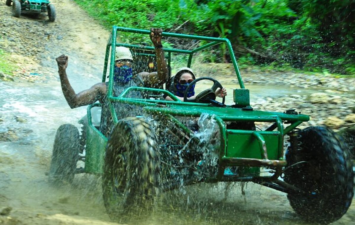 5 tours in 1 (Eco Farm/Horseback/City Tour/Buggy/Zipline)