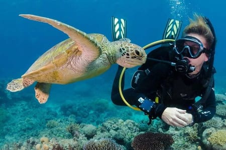 Intro and Professional Scuba Diving Cruise with Lunch in Hurghada