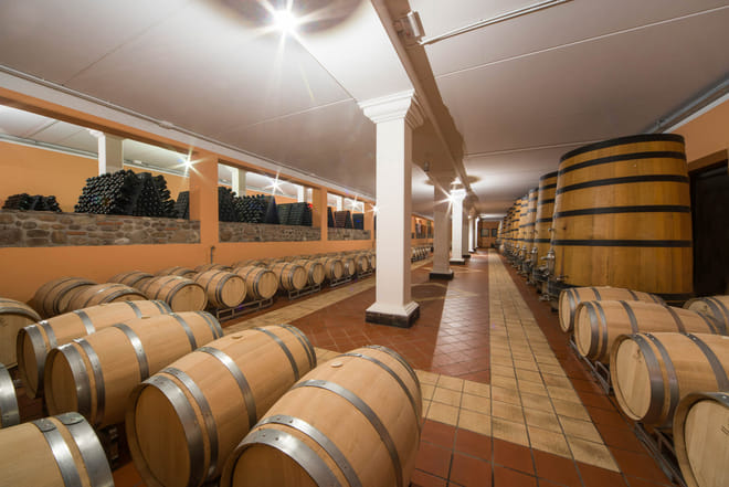 Wine Tour and Tasting on Garda Hills photo 6