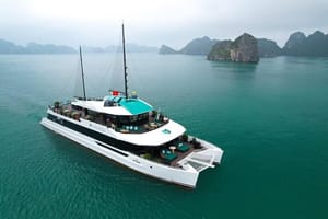 The Halong Catamaran Cruise Premium Day Tour Explore Lan Ha Bay