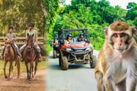 Visit to a local Ranch Plantation with Monkeys Horseback & Buggy 1
