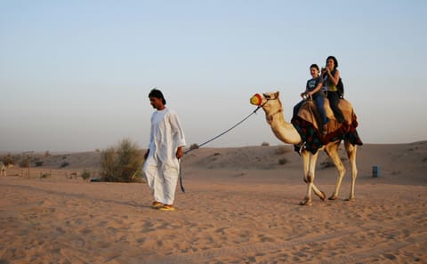 6-Day Private Mewar & Marwar Tour – Udaipur, Jodhpur, Jaisalmer & Sam Desert