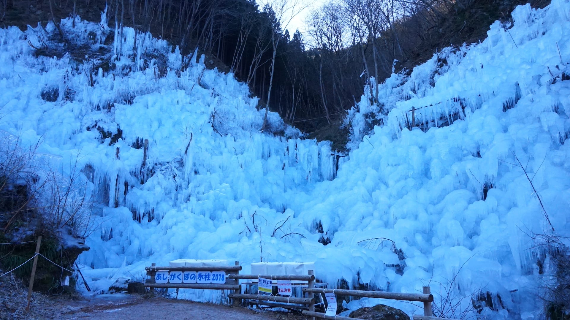 MyProGuide Japan | Reliable Japan Local Day Tour Guides