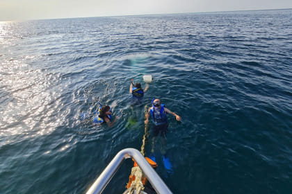 Bayada Leisure Boat Trip