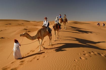 Desert Safari and Camel Adventure Tour