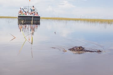 Full-Day Miami Tour: Cruise, Everglades Airboat & Bus Adventure