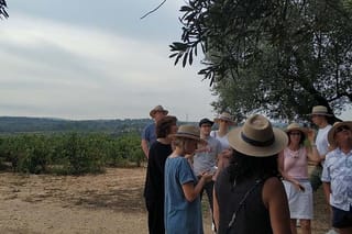 Private Wine & Cava Tasting Tour In Penedés Region with Hotel Pick Up
