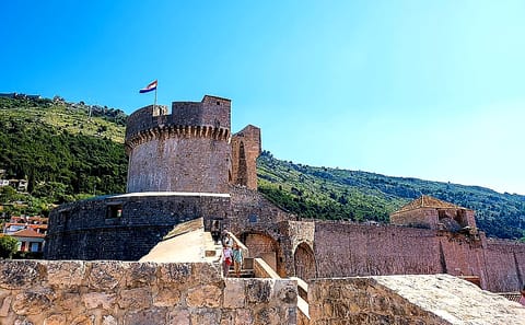 Dubrovnik History and Scenery City Tour from Pile Gate