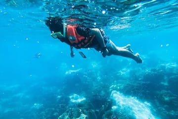 Half Day Guided Snorkeling in Negombo