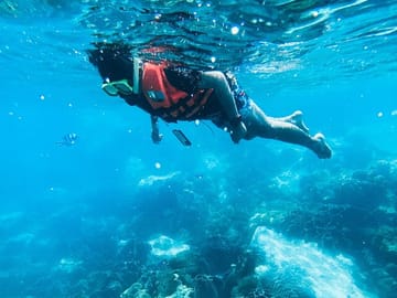 Negombo Half-Day Guided Snorkeling Tour