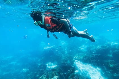 Half Day Guided Snorkeling in Negombo