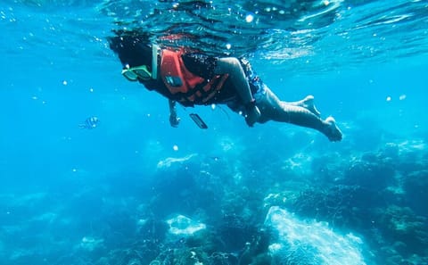 Guided Half Day Snorkeling Tour in Negombo, Sri Lanka