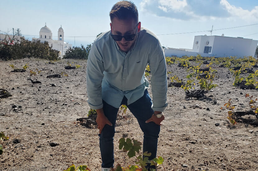 Santorini: Highlights Private Tour & Shore Excursion 2