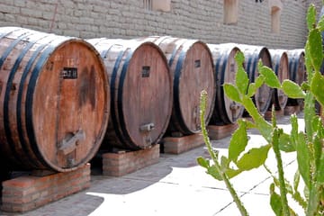 Cafayate Wine Trail Excursion: Explore Salta’s Vineyards