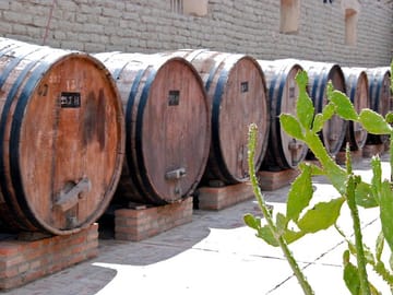 Wine Cellar in Cafayate