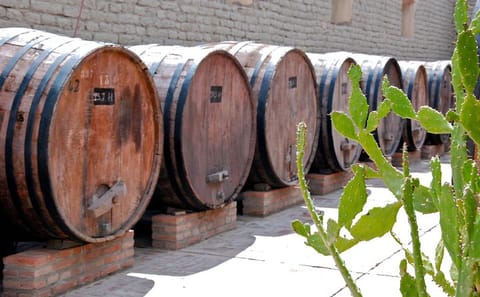 Cafayate Wine Trail Tour in Salta's Scenic Vineyards