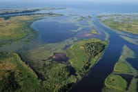 BIRDWATCH - Premium guided canoe tour at Cape Vente, Nemunas Delta Regional Park 6