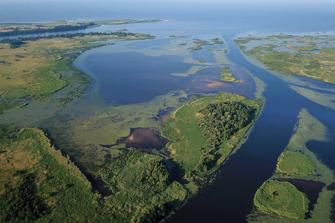 BIRDWATCH - Premium guided canoe tour at Cape Vente, Nemunas Delta Regional Park 6